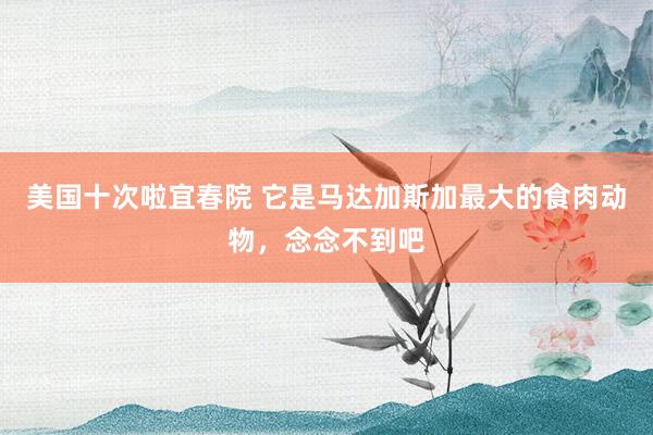 美国十次啦宜春院 它是马达加斯加最大的食肉动物，念念不到吧