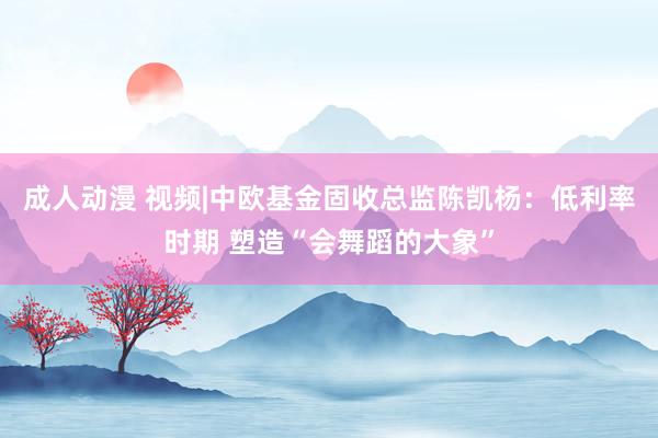 成人动漫 视频|中欧基金固收总监陈凯杨：低利率时期 塑造“会舞蹈的大象”