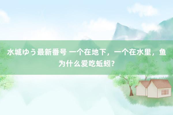 水城ゆう最新番号 一个在地下，一个在水里，鱼为什么爱吃蚯蚓？