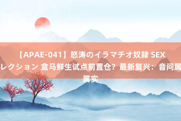 【APAE-041】怒涛のイラマチオ奴隷 SEXコレクション 盒马鲜生试点前置仓?最新复兴:音问属实