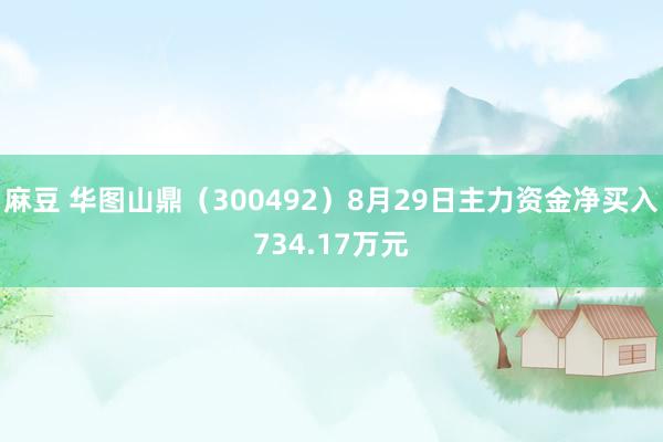 麻豆 华图山鼎(300492)8月29日主力资金净买入734.17万元
