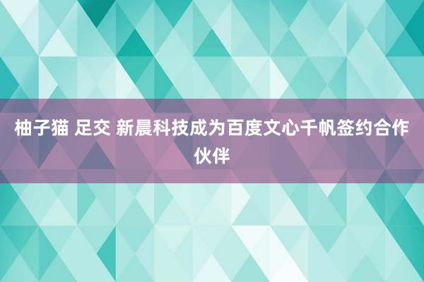 柚子猫 足交 新晨科技成为百度文心千帆签约合作伙伴