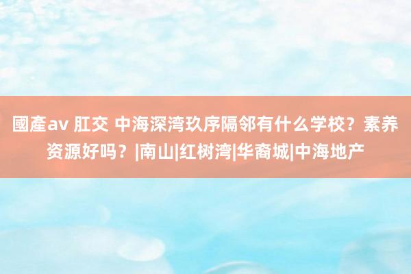 國產av 肛交 中海深湾玖序隔邻有什么学校？素养资源好吗？|南山|红树湾|华裔城|中海地产