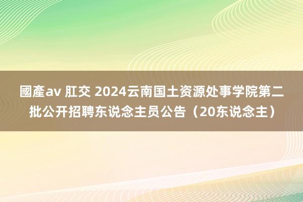 國產av 肛交 2024云南国土资源处事学院第二批公开招聘东说念主员公告（20东说念主）
