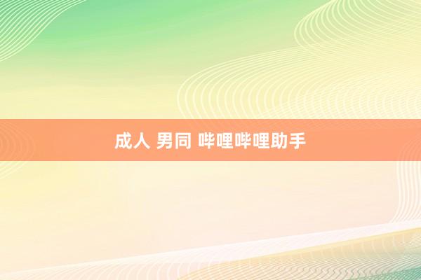 成人 男同 哔哩哔哩助手