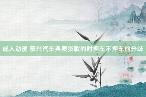 成人动漫 嘉兴汽车典质贷款的时押车不押车的分歧