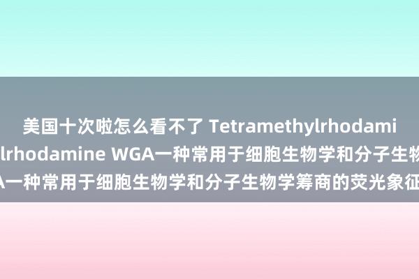 美国十次啦怎么看不了 Tetramethylrhodamine WGA， Tetramethylrhodamine WGA一种常用于细胞生物学和分子生物学筹商的荧光象征试剂
